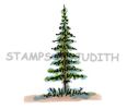 E-282-HK Sm. Pine Tree